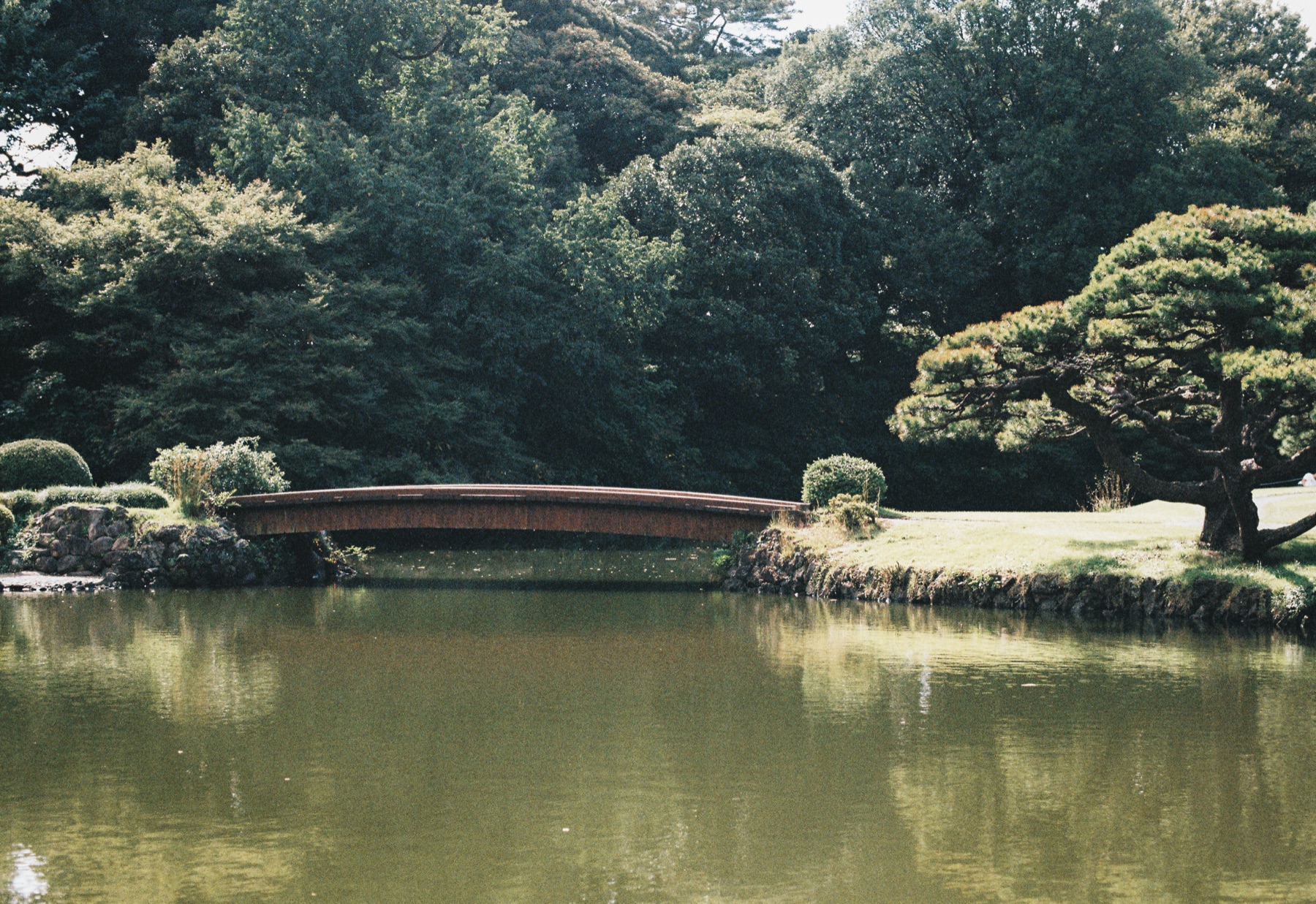 Roll 01 · Tokyo, frame 11