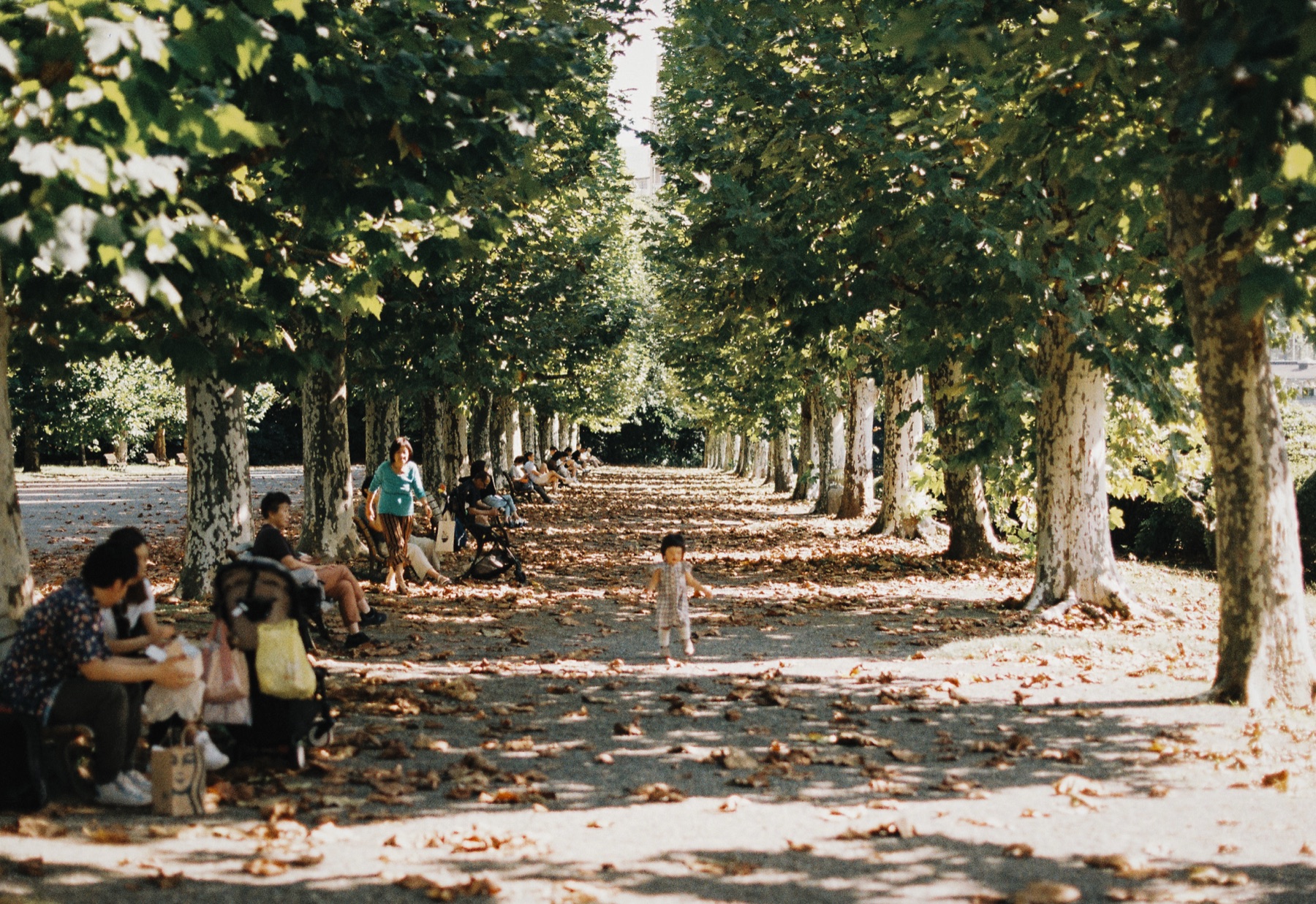 Roll 01 · Tokyo, frame 13