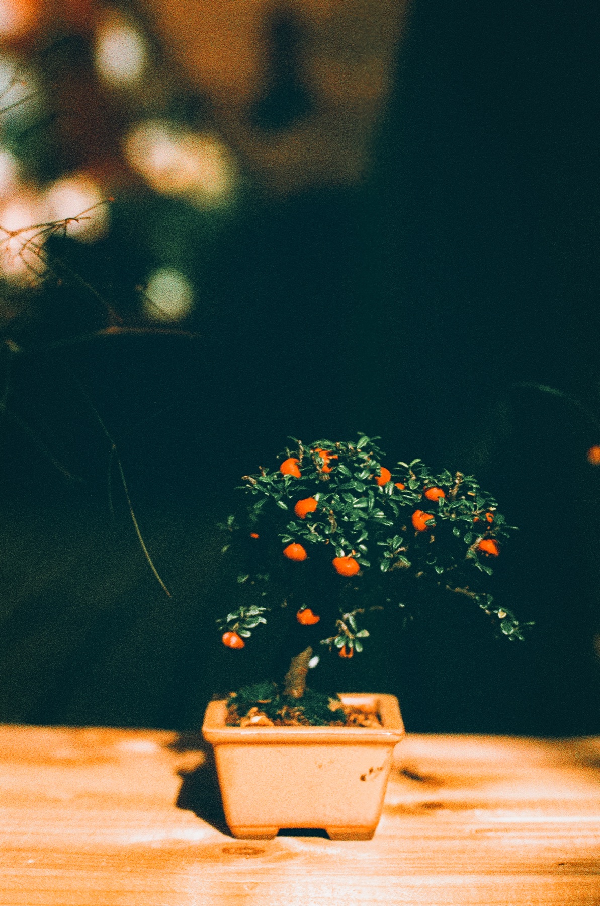 Roll 03 · Tokyo