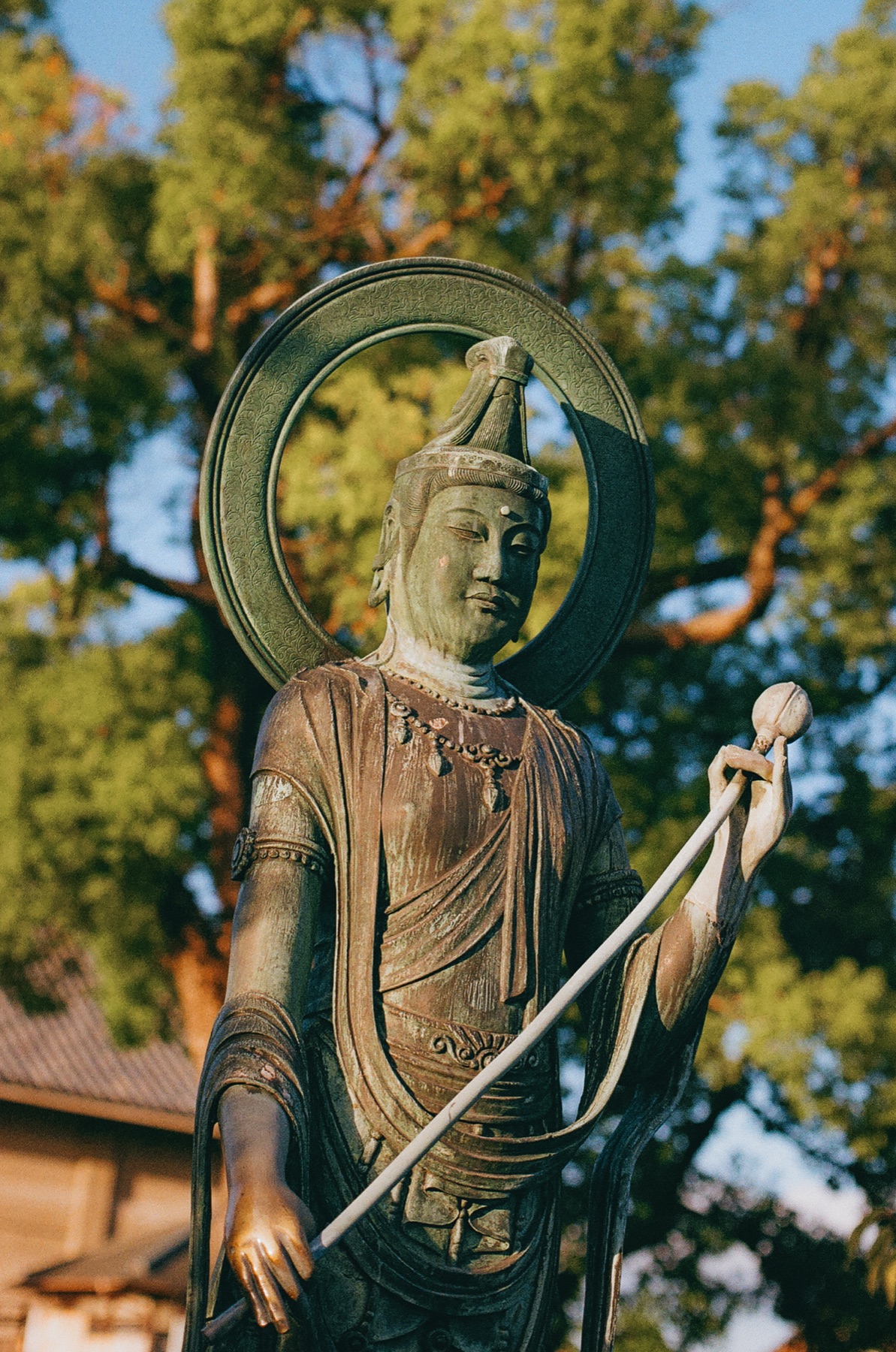 Roll 05 · Kyoto, frame 8