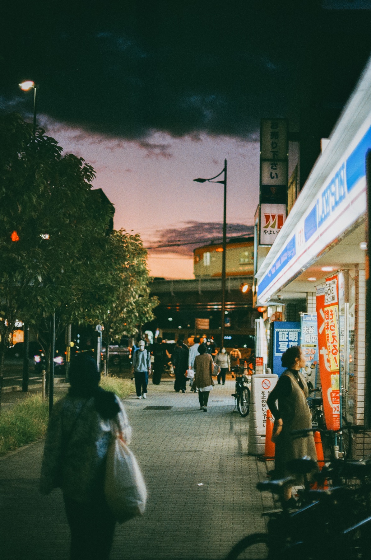 Roll 05 · Kyoto, frame 20