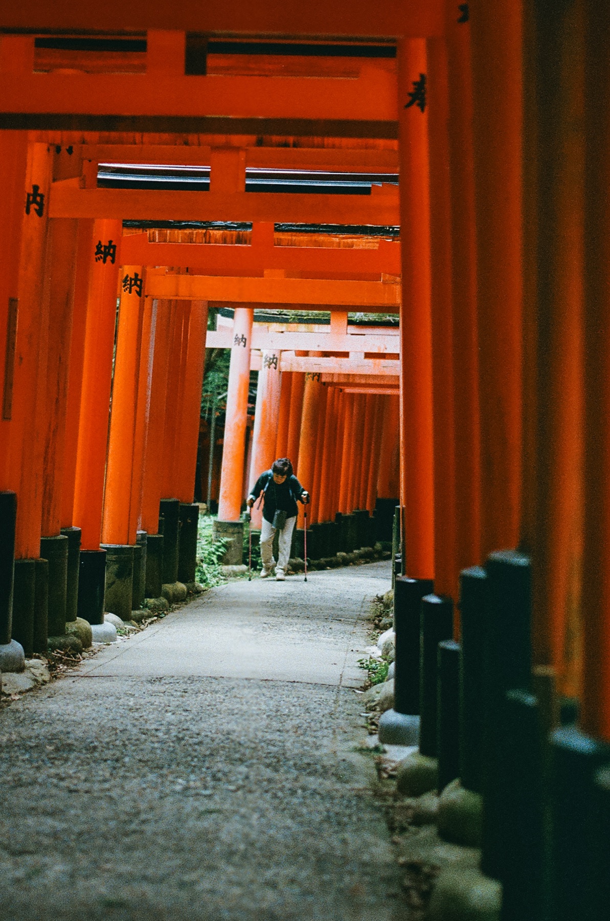 Roll 06 · Kyoto, frame 16