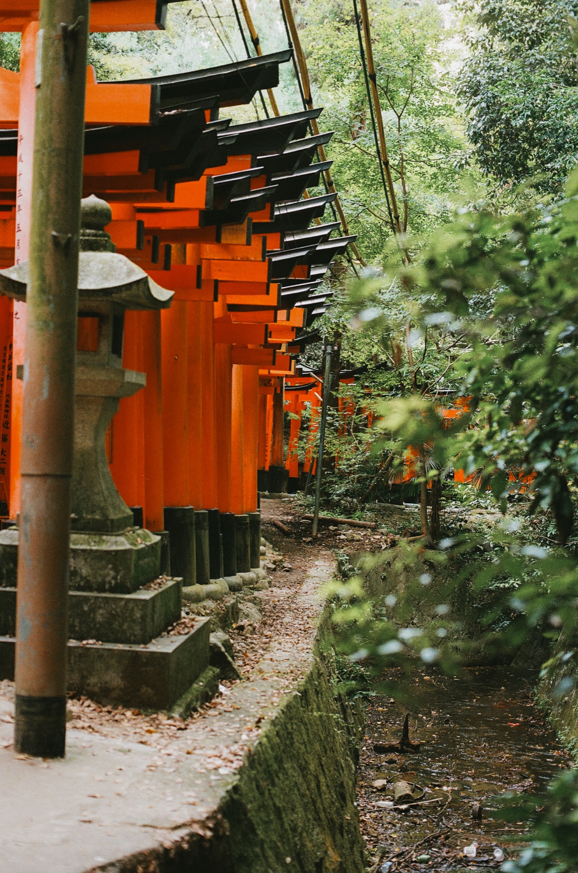 Roll 06 · Kyoto, frame 24