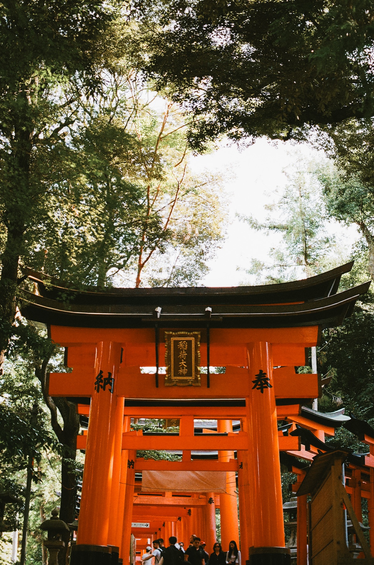 Roll 06 · Kyoto, frame 25