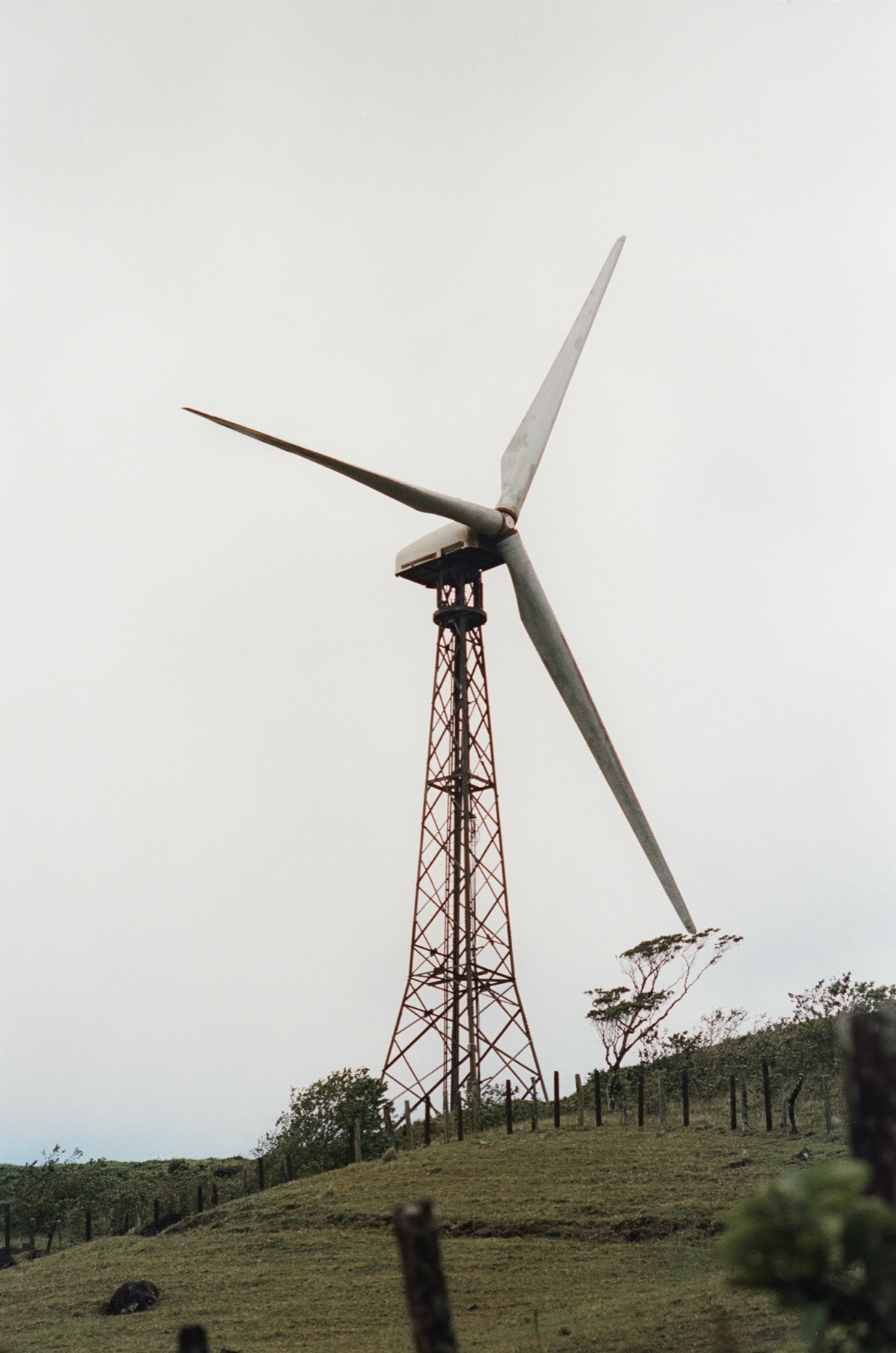 Roll 12 · Alajuela Province, Costa Rica, frame 4