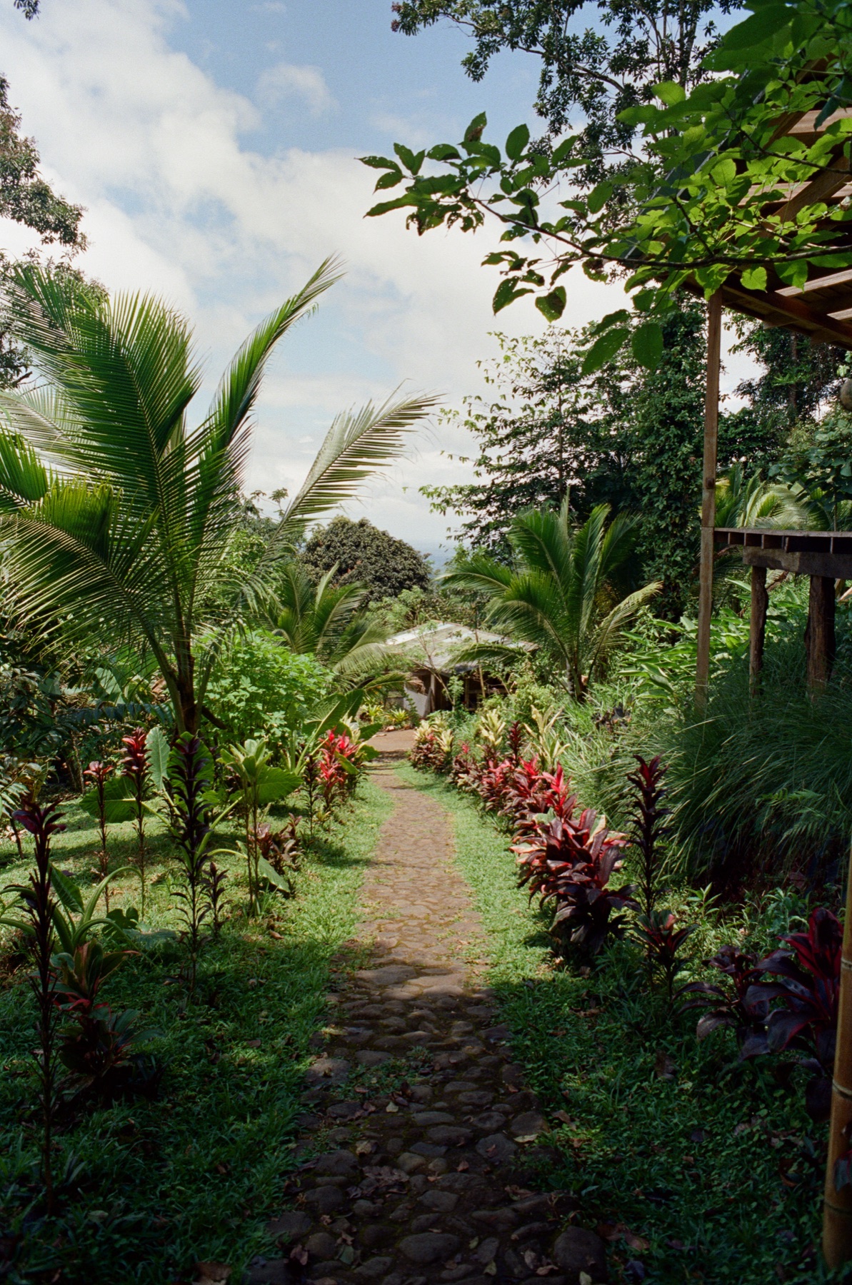 Roll 12 · Alajuela Province, Costa Rica, frame 8