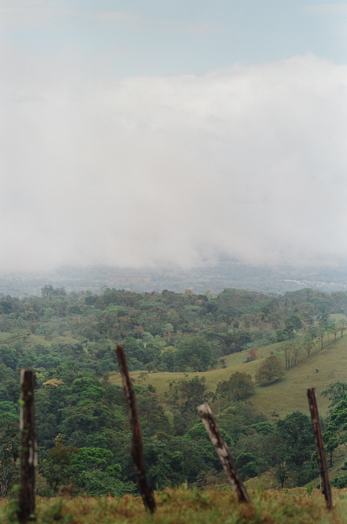 Roll 12 · Alajuela Province, Costa Rica, frame 25