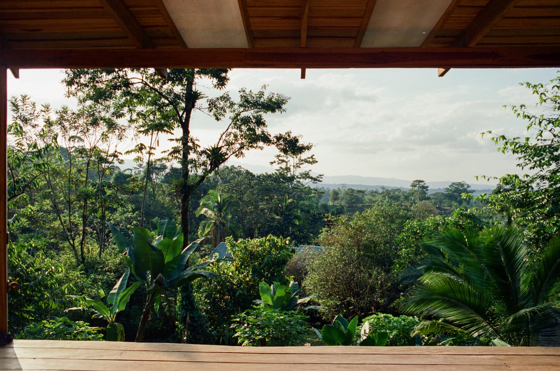 Roll 12 · Alajuela Province, Costa Rica, frame 34