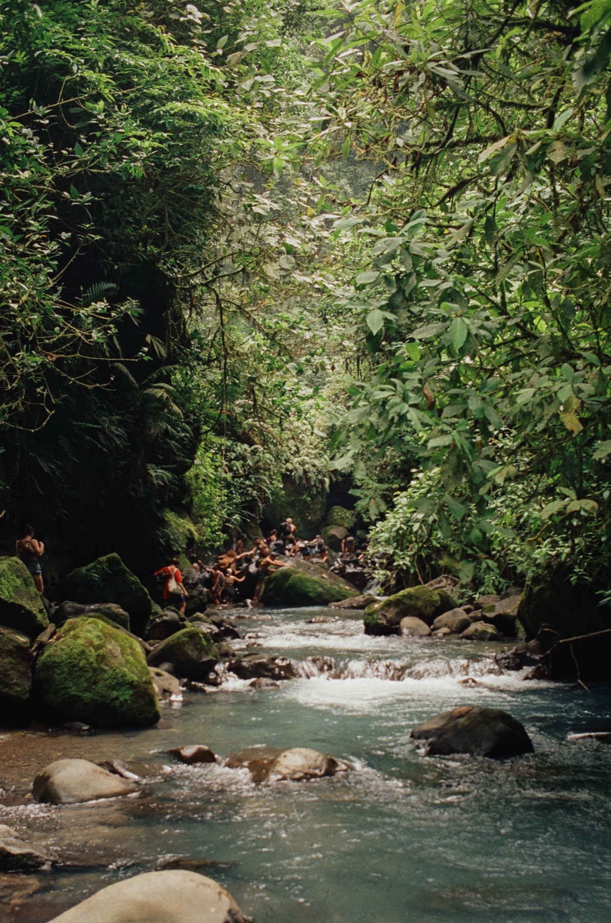 Roll 13 · Deep in the Jungle, Costa Rica, frame 3