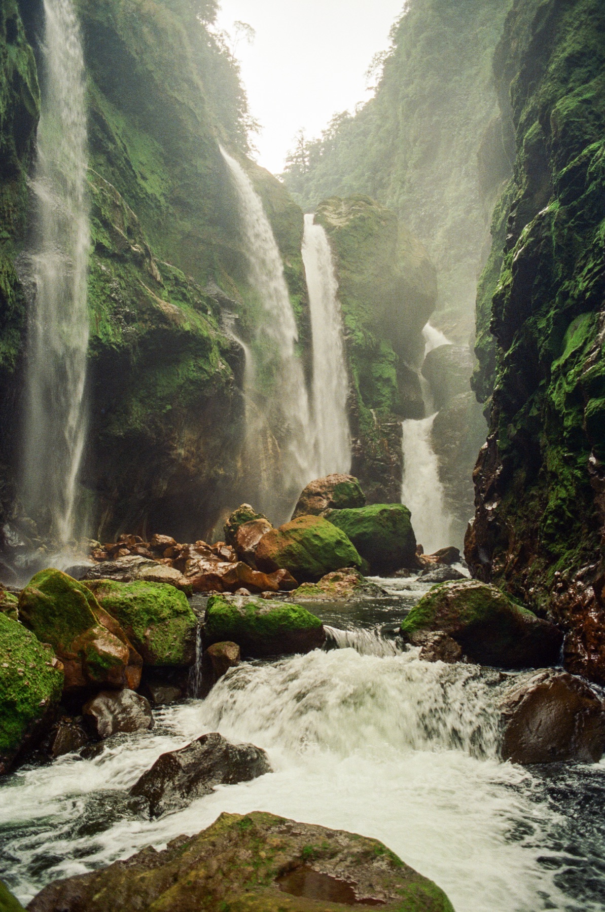 Roll 13 · Deep in the Jungle, Costa Rica, frame 5
