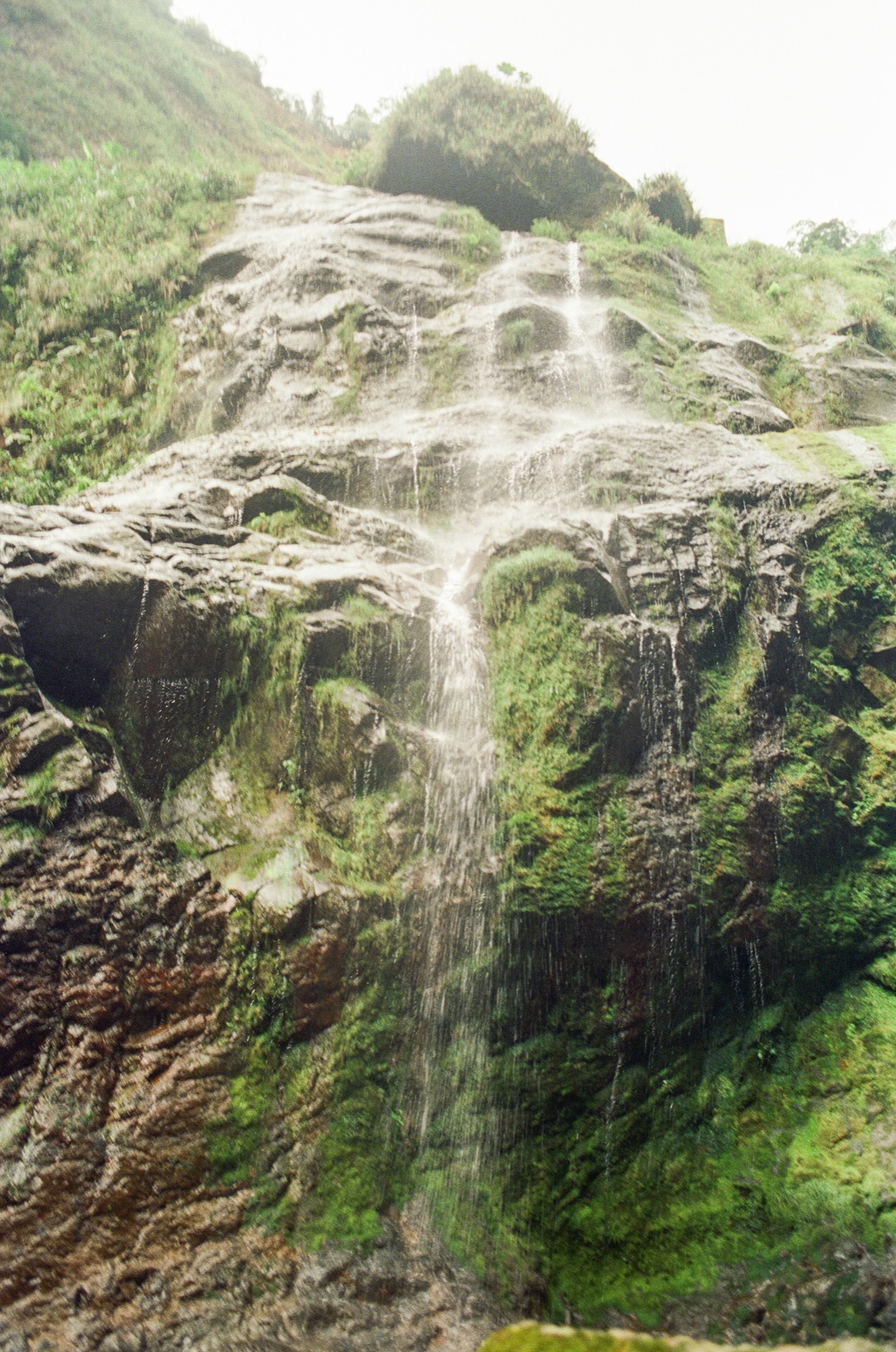 Roll 13 · Deep in the Jungle, Costa Rica, frame 13