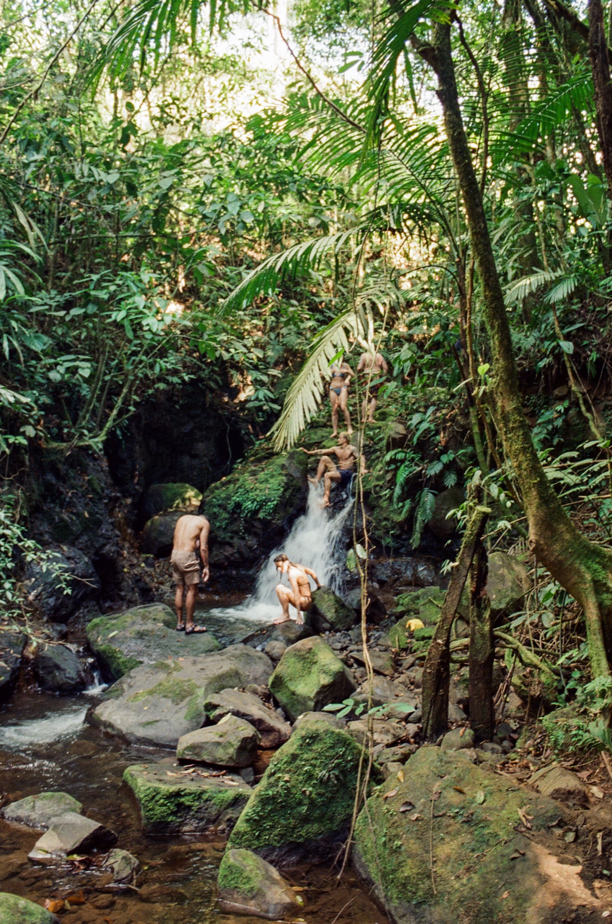 Roll 13 · Deep in the Jungle, Costa Rica, frame 14