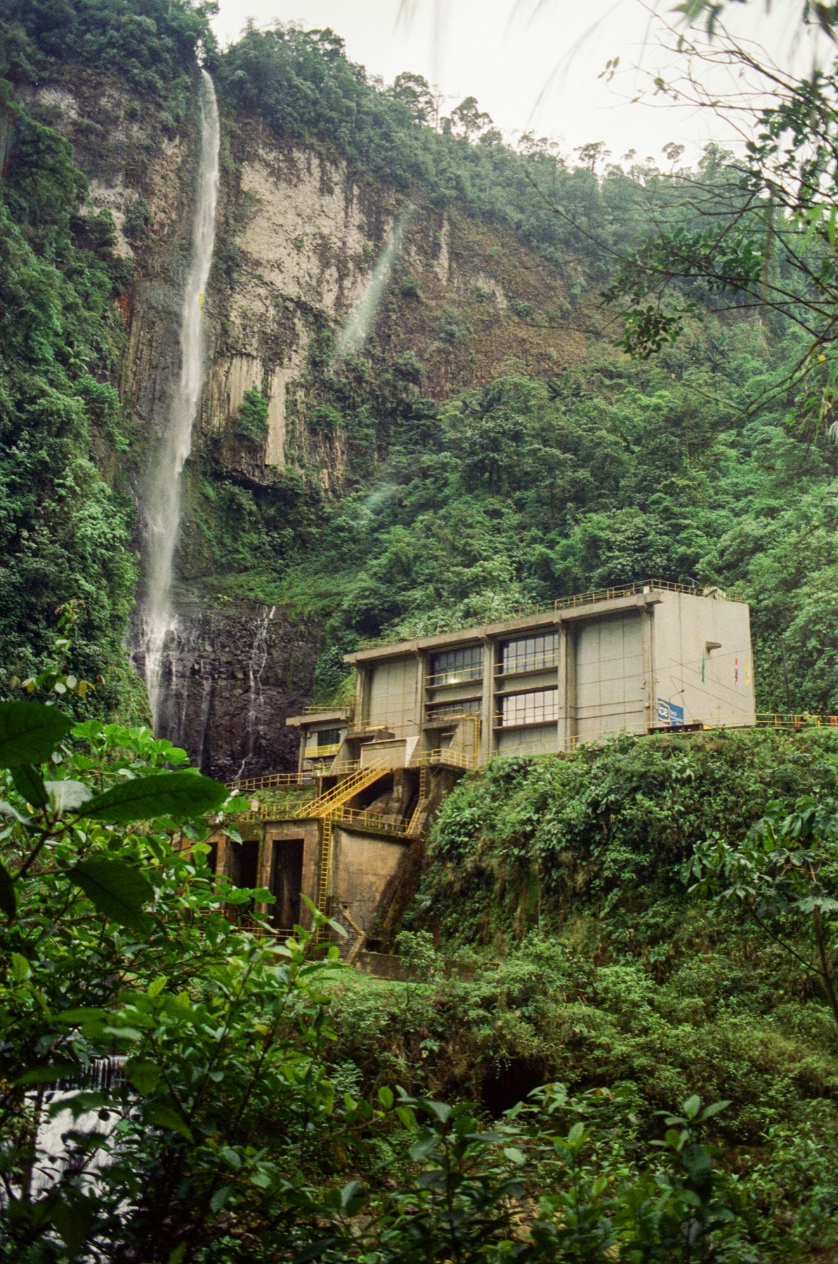 Roll 13 · Deep in the Jungle, Costa Rica, frame 17