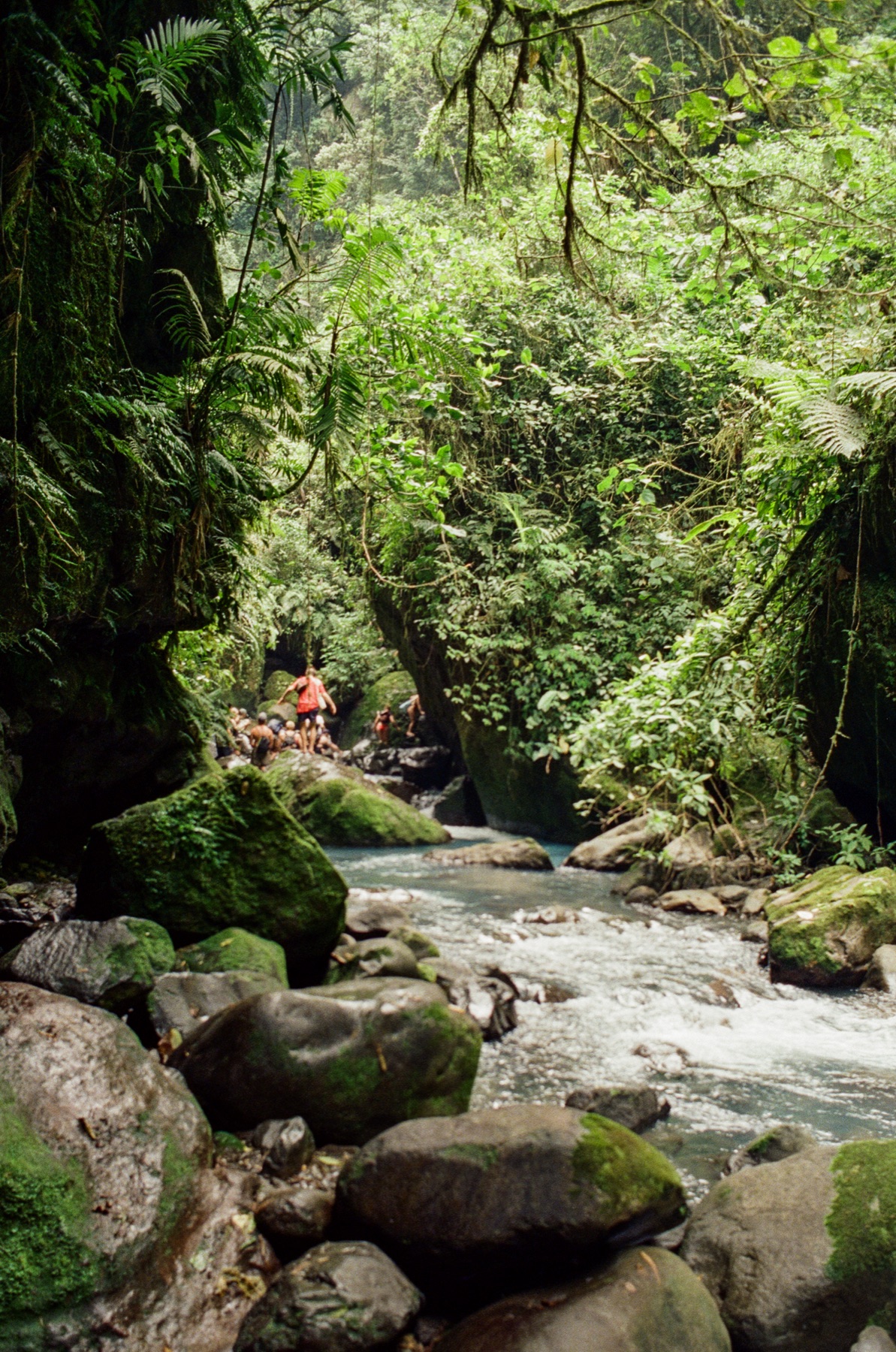Roll 13 · Deep in the Jungle, Costa Rica, frame 22