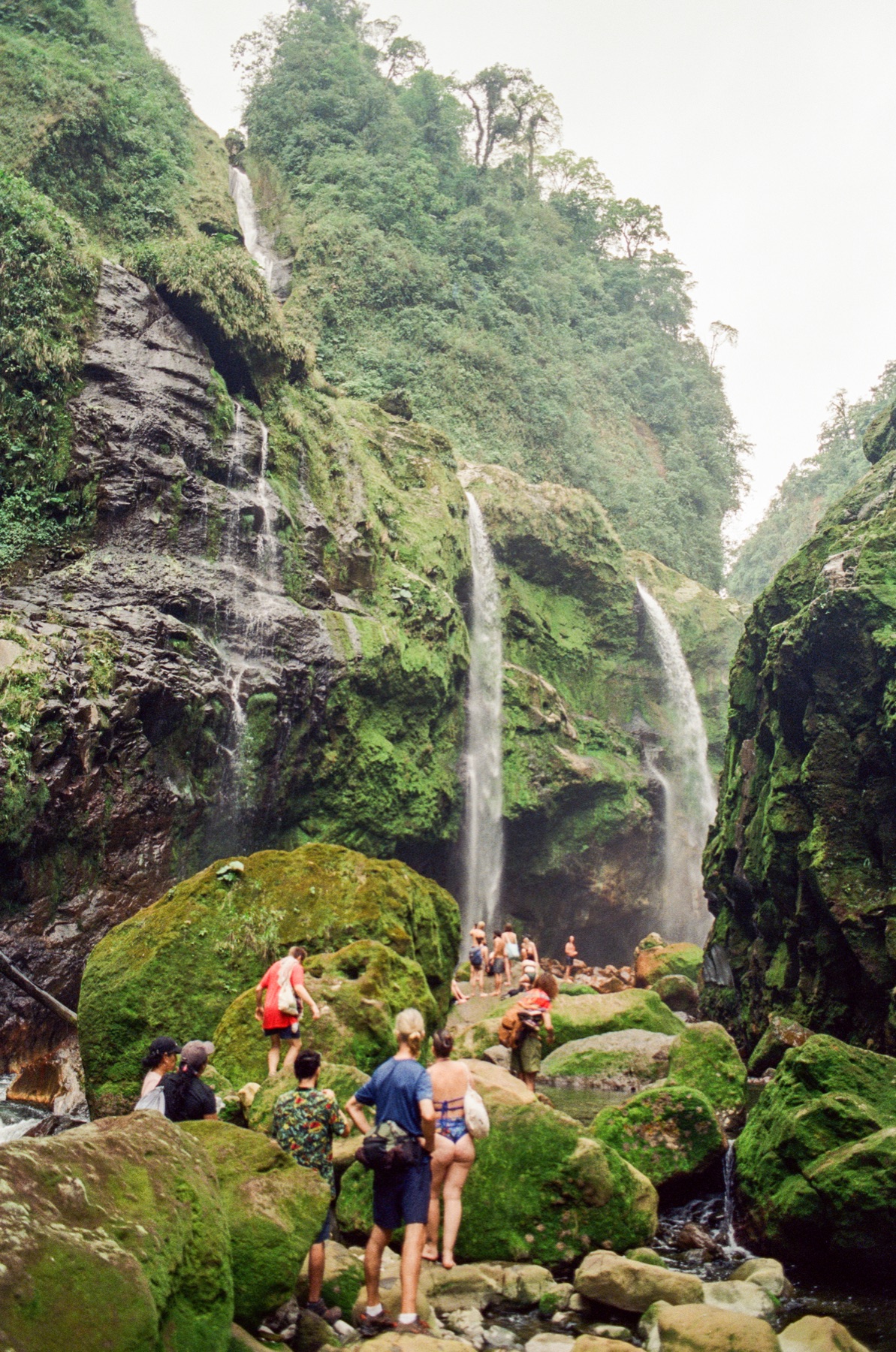 Roll 13 · Deep in the Jungle, Costa Rica, frame 27
