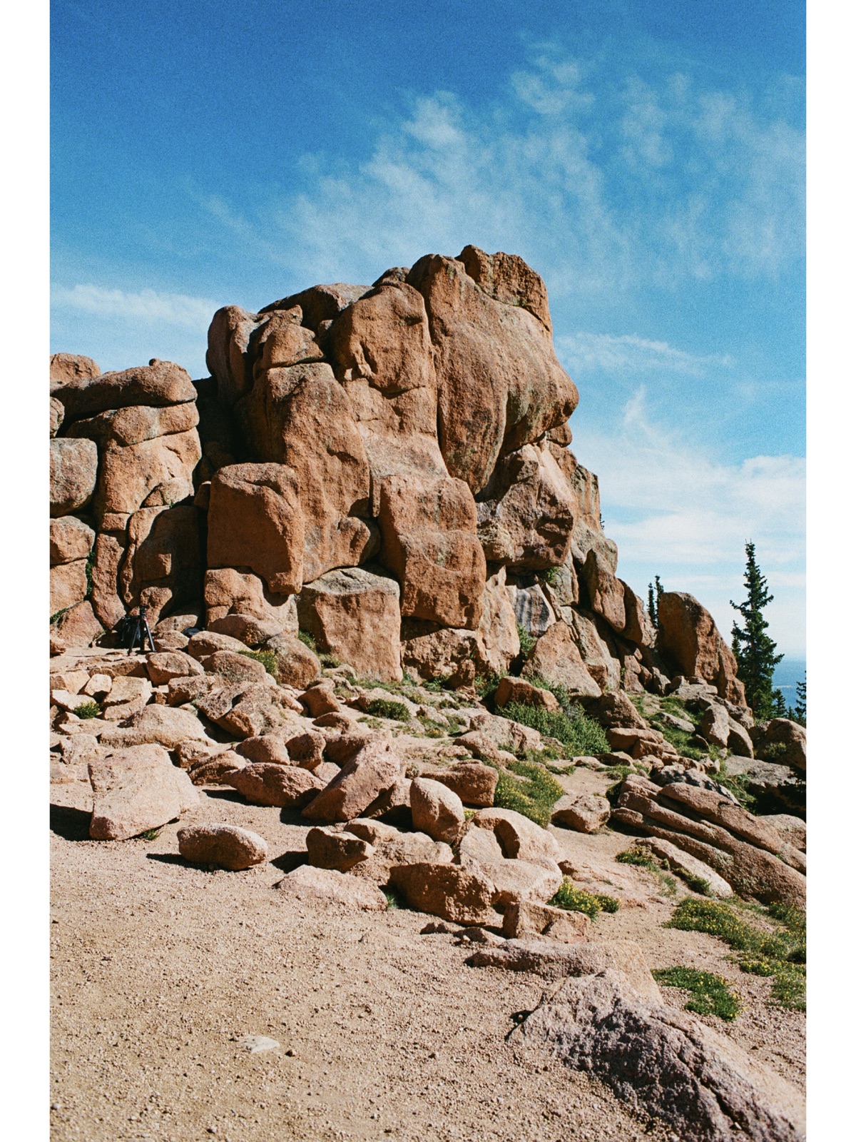 Film photography, page 10 of 16